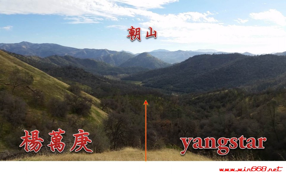 YANGSTAR-FENGSHUI - 2.jpg